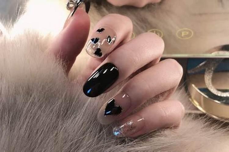 植物红掌能不能养在室内