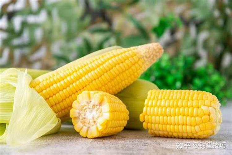 种玉米用什么化肥最好？