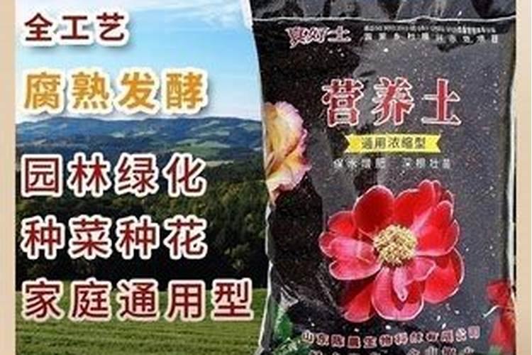 鞍山哪里有卖花土的