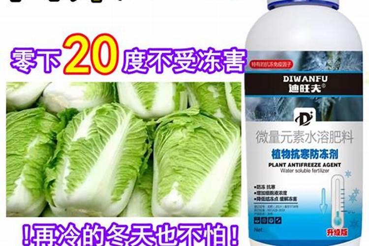 ...白菜,瓢儿菜,菜心等蔬菜,要用什么叶面肥,什么药治虫,治各种疾病百 ...