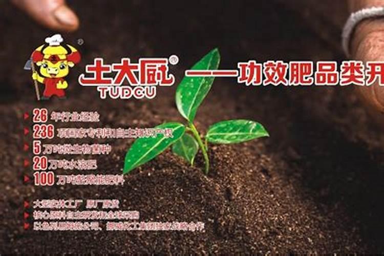 蔬菜怎样施用锌肥？