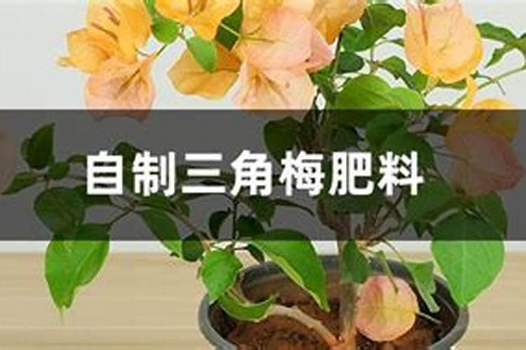 含锌含硫氮肥和普通尿素有什么区别？它们能和普通尿素一样使用么？
