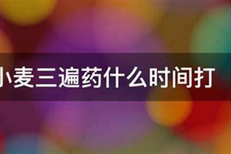 小麦灌浆期喷施什么叶面肥好