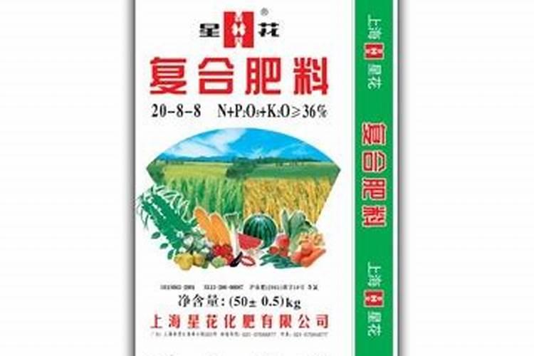 星花木兰是一种花吗？