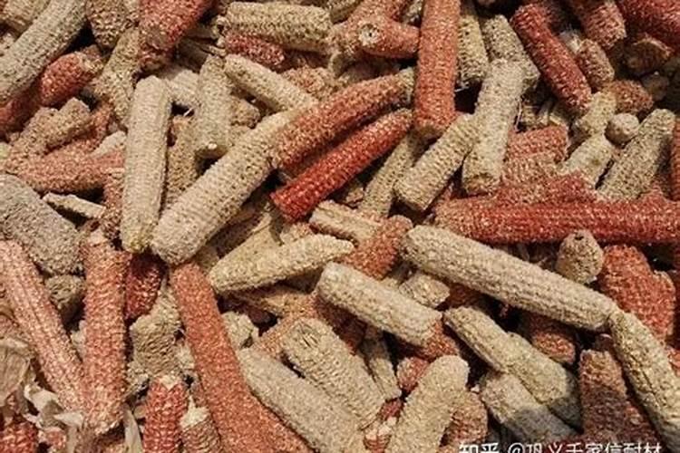 玉米芯可以当肥料吗？