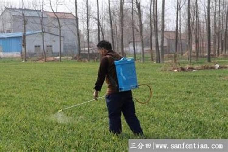 小麦第一遍药什么时候打合适 (第一遍用什么药喷施最好)