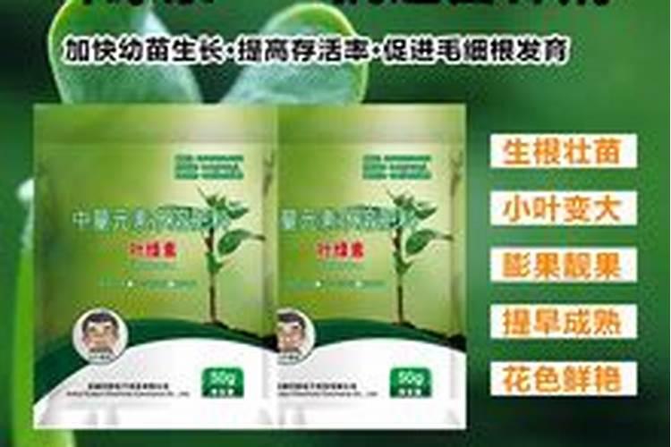 尿素和氮肥有什么区别