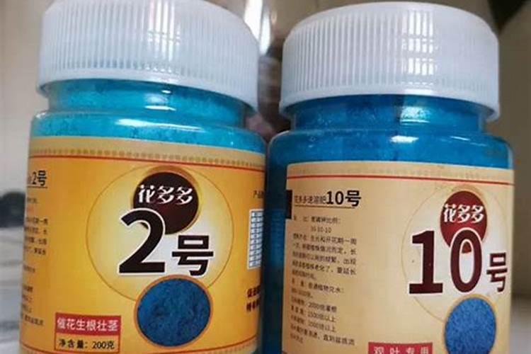 蔷薇花施肥方法