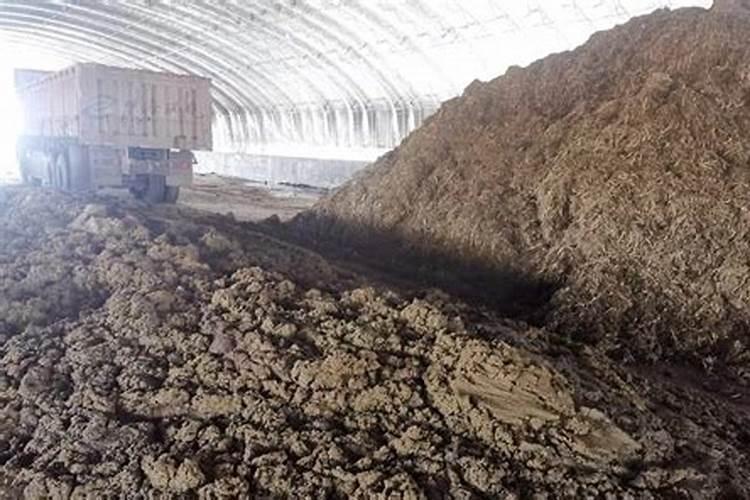 叶面肥是有机肥吗 有机肥可以叶面喷施吗