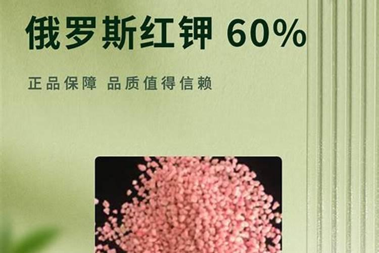 葡萄烂根补救办法