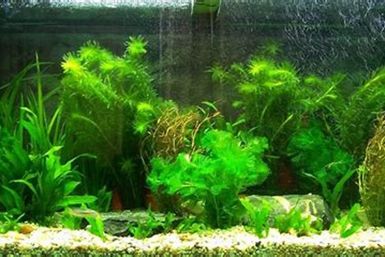 新型肥料的类别有哪些