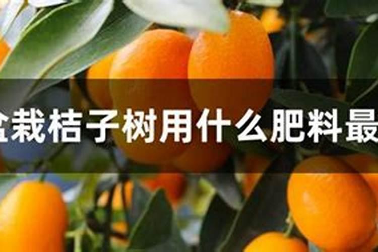 桔子开花期施什么肥好？