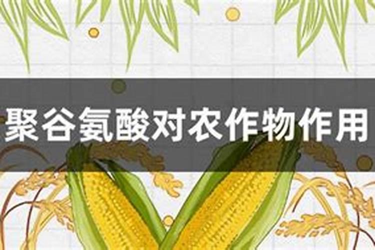 聚谷氨酸生物有机肥的作用