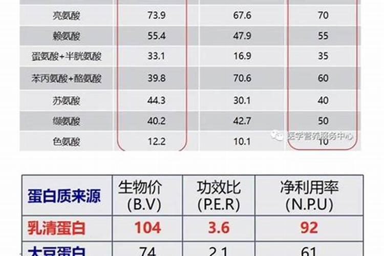 鱼油和鱼蛋白哪种做肥料好