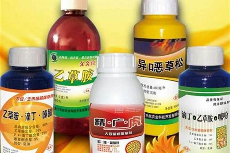 栽培无公害蔬菜时应禁用哪些肥料