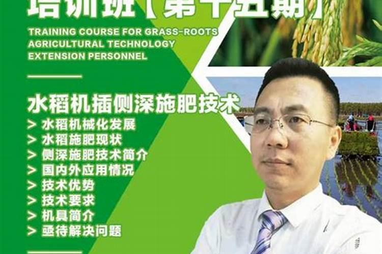 水稻叶面喷肥时间 有哪些注意事项