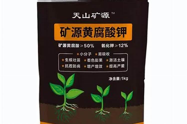 矿源黄腐酸钾枸杞树用量