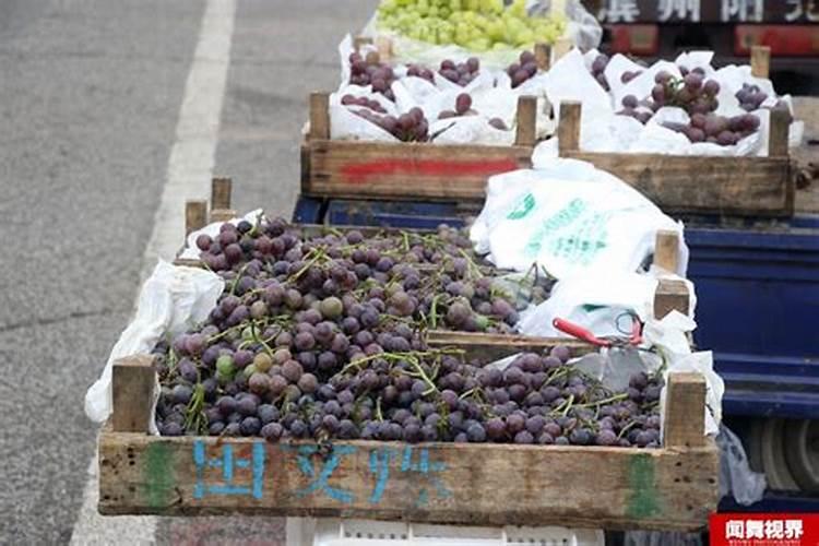 刚卖完葡萄,给树体喂什么肥