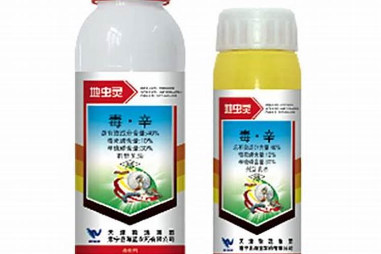 芭乐树怎么养？