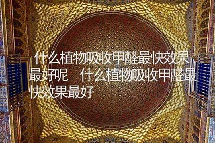 包衣尿和脲甲醛尿素哪个好