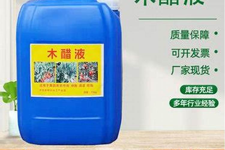 山茶花怎么施肥 山茶花如何施肥