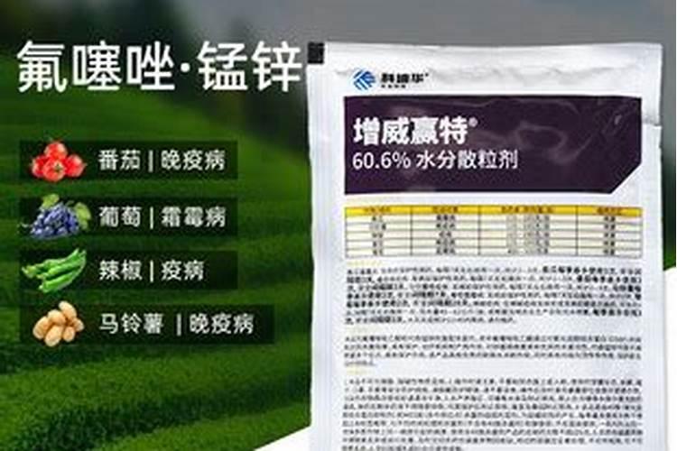 避免苹果树被冻坏,可以打什么叶面肥预防呢？