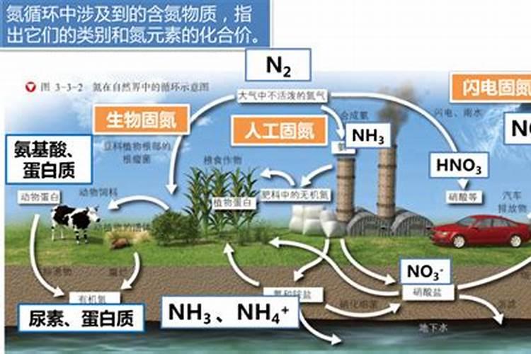 水体中氮磷的主要来源