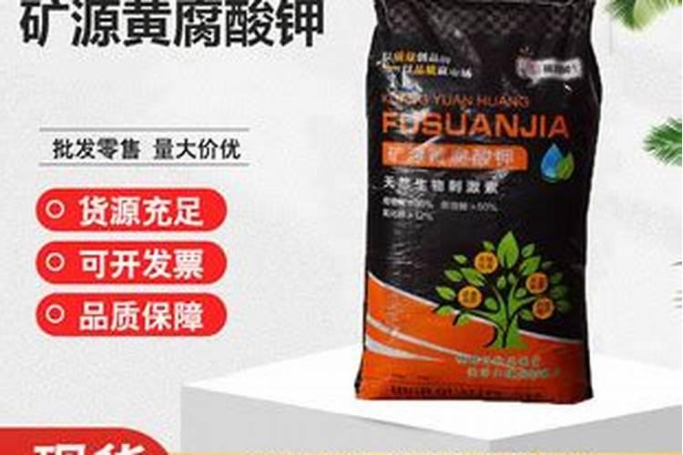 金钱树浇什么水好