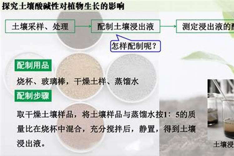 桃树的需肥特性是怎样的？