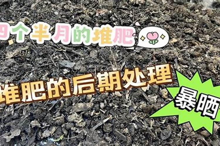 蔬菜堆肥时怎么加入氮和其他元素
