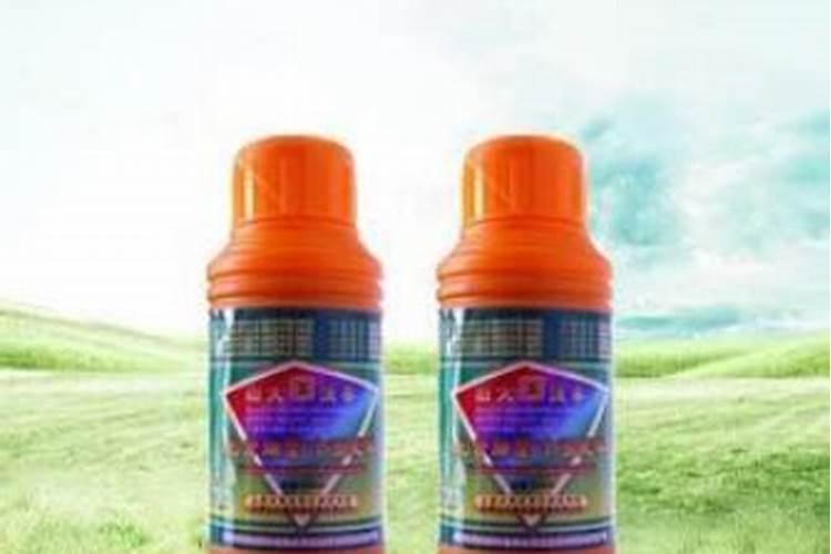 柴胡出产最高的地方时哪里？