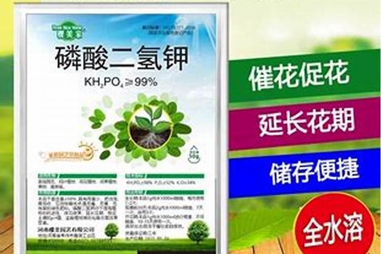 促进植物生根的肥料是钾肥还是磷肥