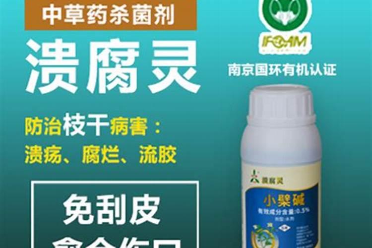 桃树冬季清园用什么杀菌剂