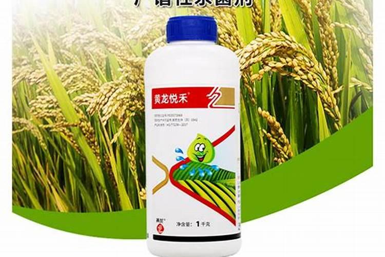 嘧菌酯的作用和用途 能配叶面肥吗