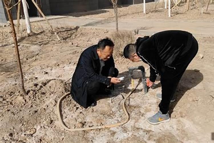 水稻施什么肥料最好？