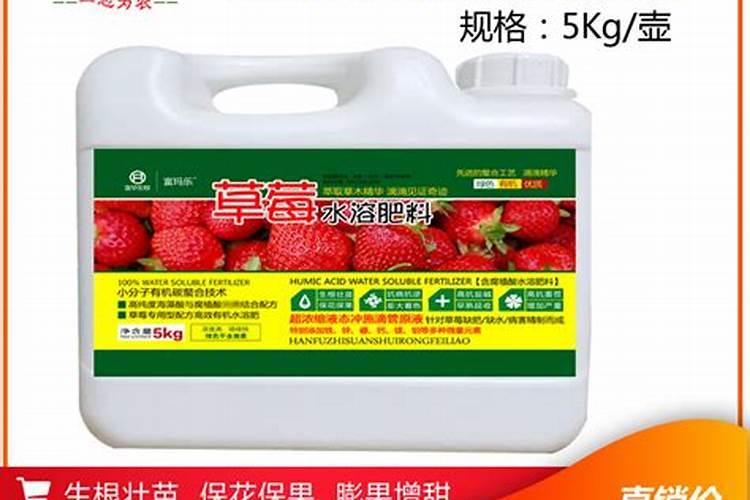 用于草莓的肥料选哪种比较好