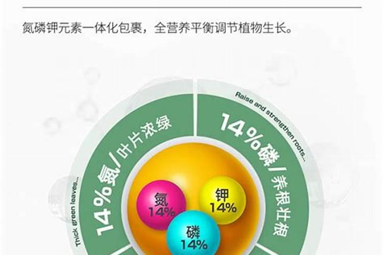 颗粒控释肥适合多肉吗？