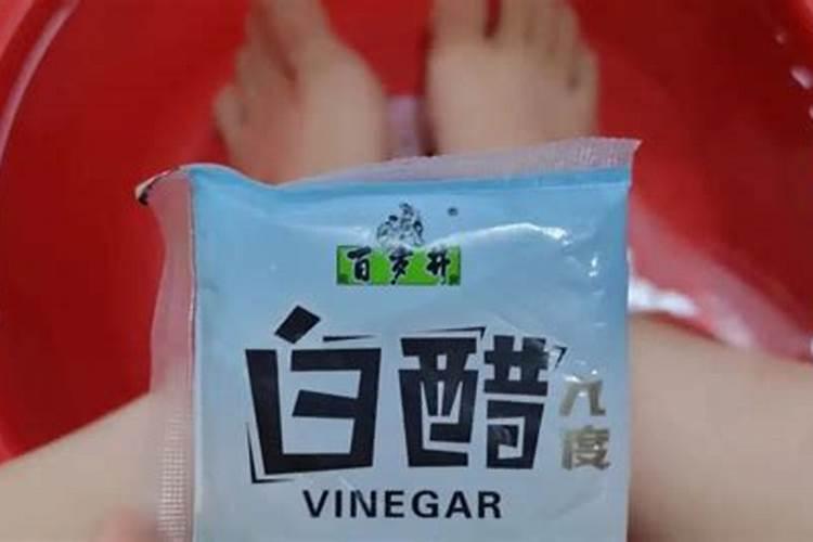 枣树叶发黄,落叶。