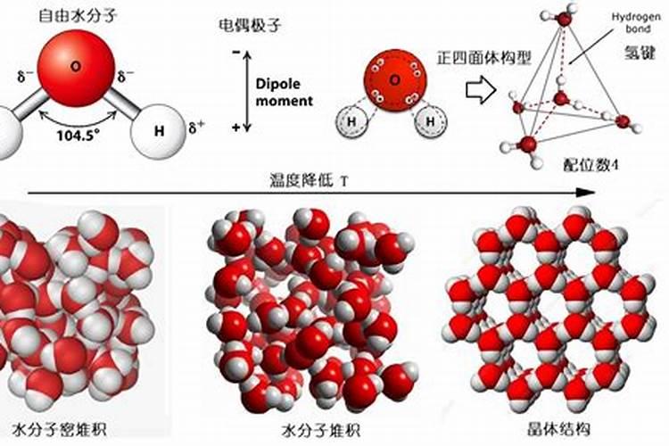 水溶肥是什么肥料,水溶肥怎么用效果好,注意事项