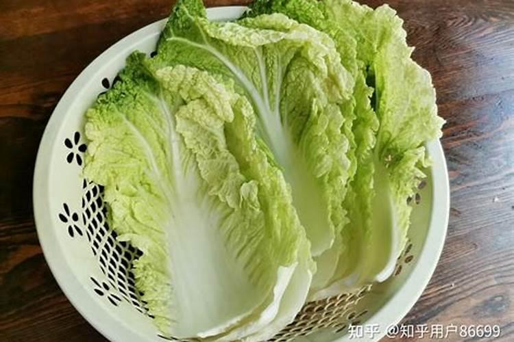 种秋白菜用什么肥料好 追肥技巧有哪些