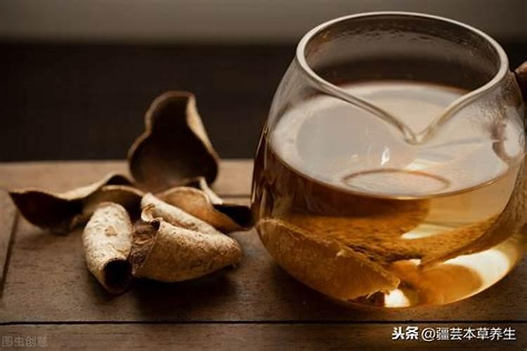 圈枝柑和驳枝柑究竟是什么 圈枝柑和驳枝如何区别