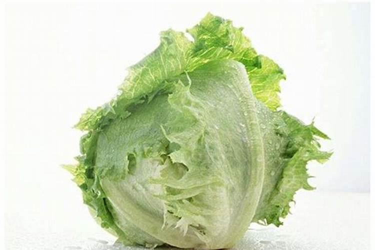 生菜叶片增厚用什么叶面肥