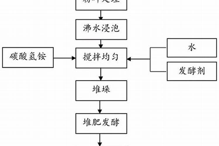 桑葚在定植之后,该如何进行水肥方面的管理？