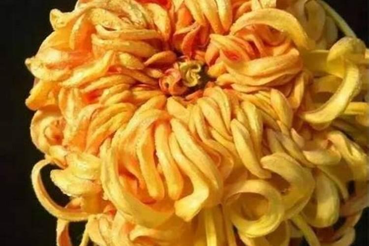 盆栽的菊花施什么肥料