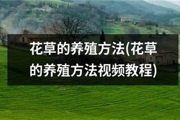 氨基酸水溶肥料的用法有哪些