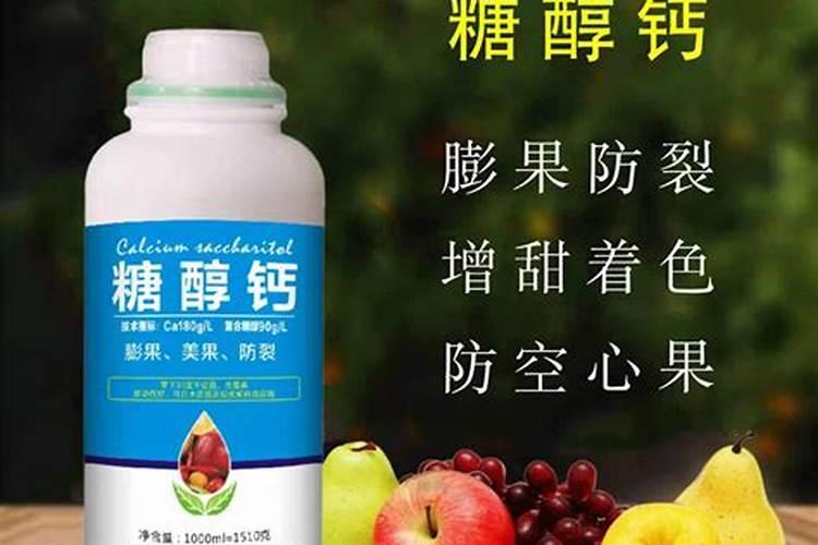 盆栽山茶花如何施肥？