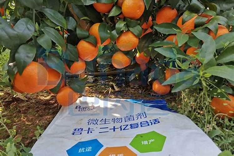氮磷钾肥有哪些 适合什么花