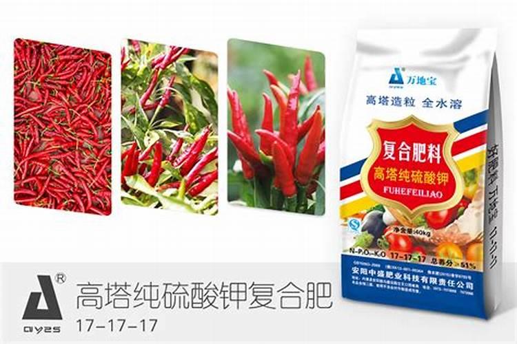 辣椒苗能施复合肥吗