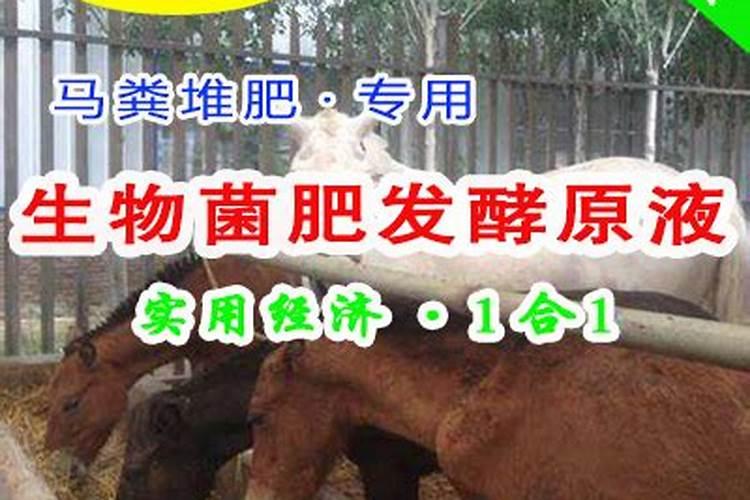 羊粪发酵最简单方法
