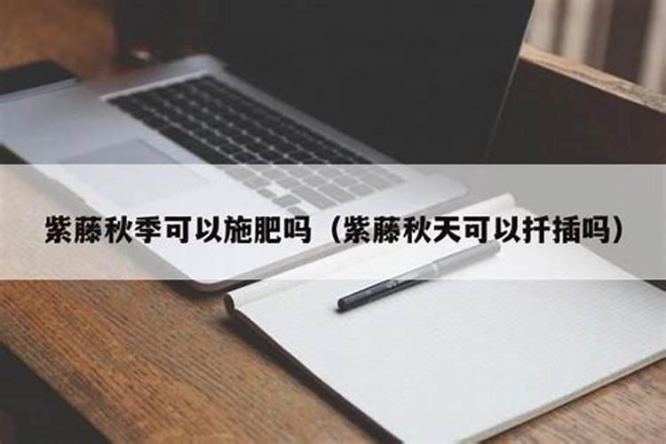 紫藤施肥用什么肥料
